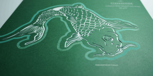 Koi fish cut on Pergraphica® Colours